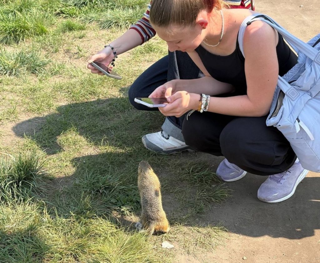 Татышев, 8Б и суслики